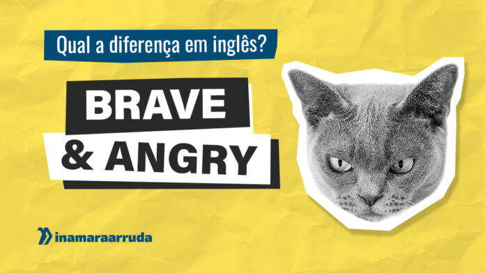 Quer aprimorar seu entendimento sobre o significado da palavra 'Cat' em  inglês?, Palavra do Dia